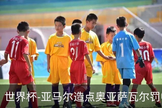 世界杯-亚马尔造点奥亚萨瓦尔罚中 西班牙半场1-0法国