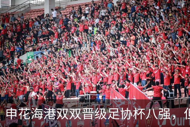 申花海港双双晋级足协杯八强，但坏消息是两队都伤了一位重要外援
