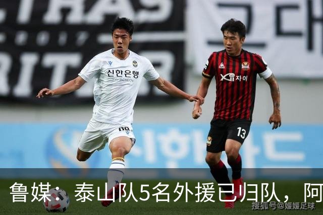 鲁媒：泰山队5名外援已归队，阿尔瓦罗6月份复出难度比较大