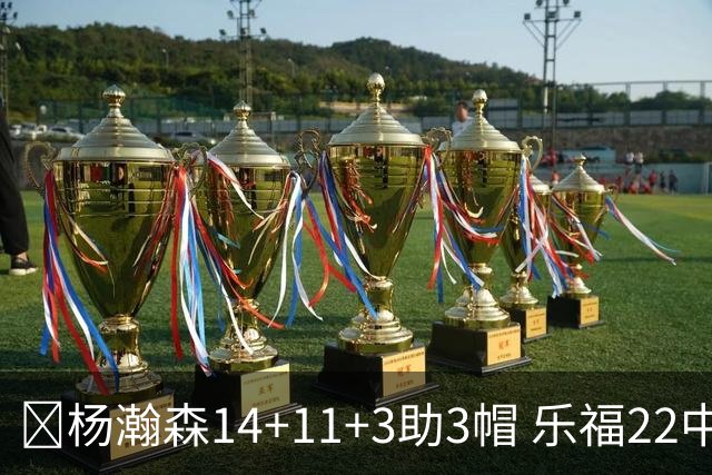 🏀杨瀚森14+11+3助3帽 乐福22中7 混音22分大逆转猛龙905