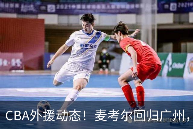 CBA外援动态！麦考尔回归广州，浙江签新外，青岛续米奇韦胖待定
